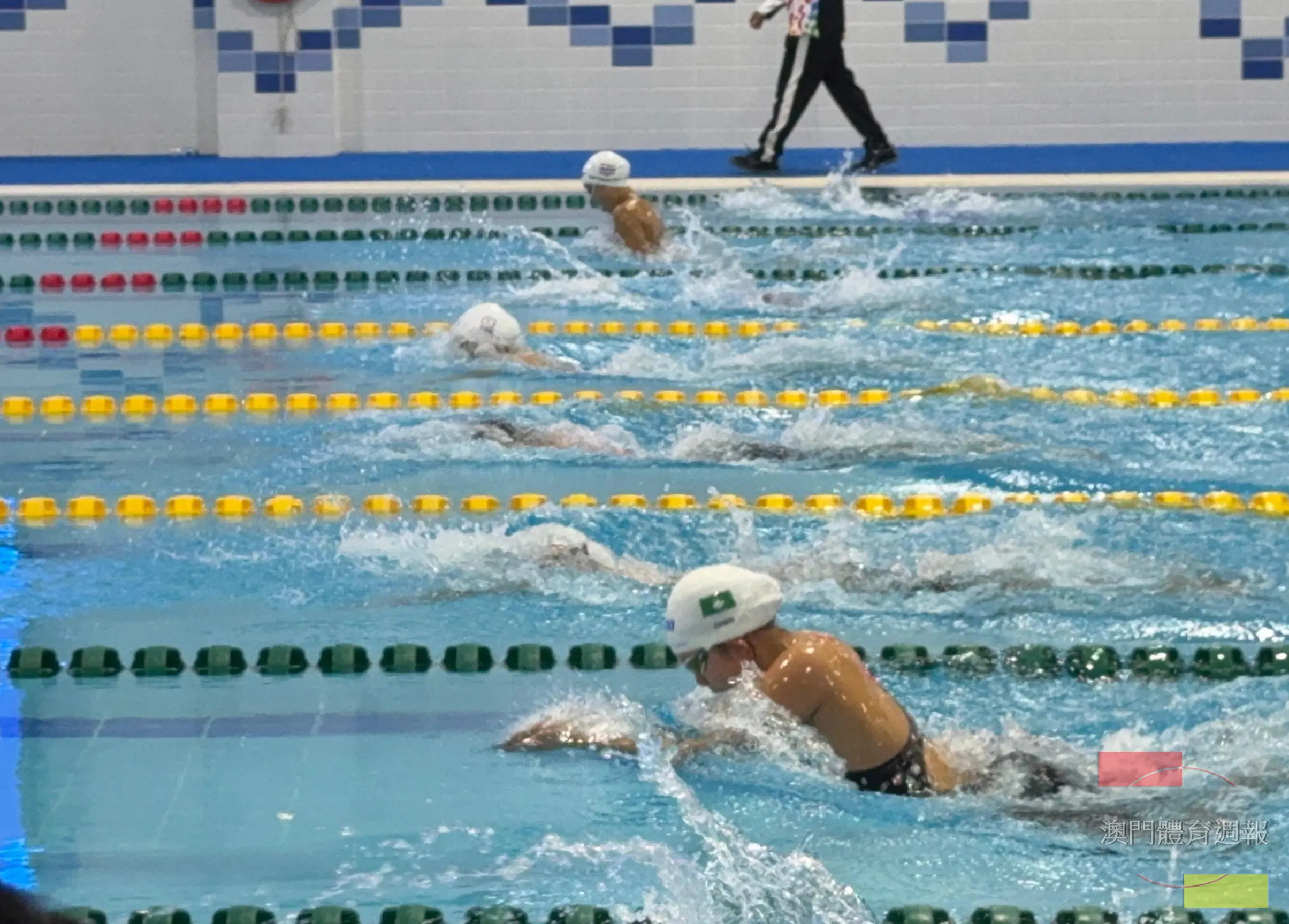 圖2 陳佩琳於50米蛙泳決賽全力衝刺.jpeg